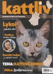 Kattliv