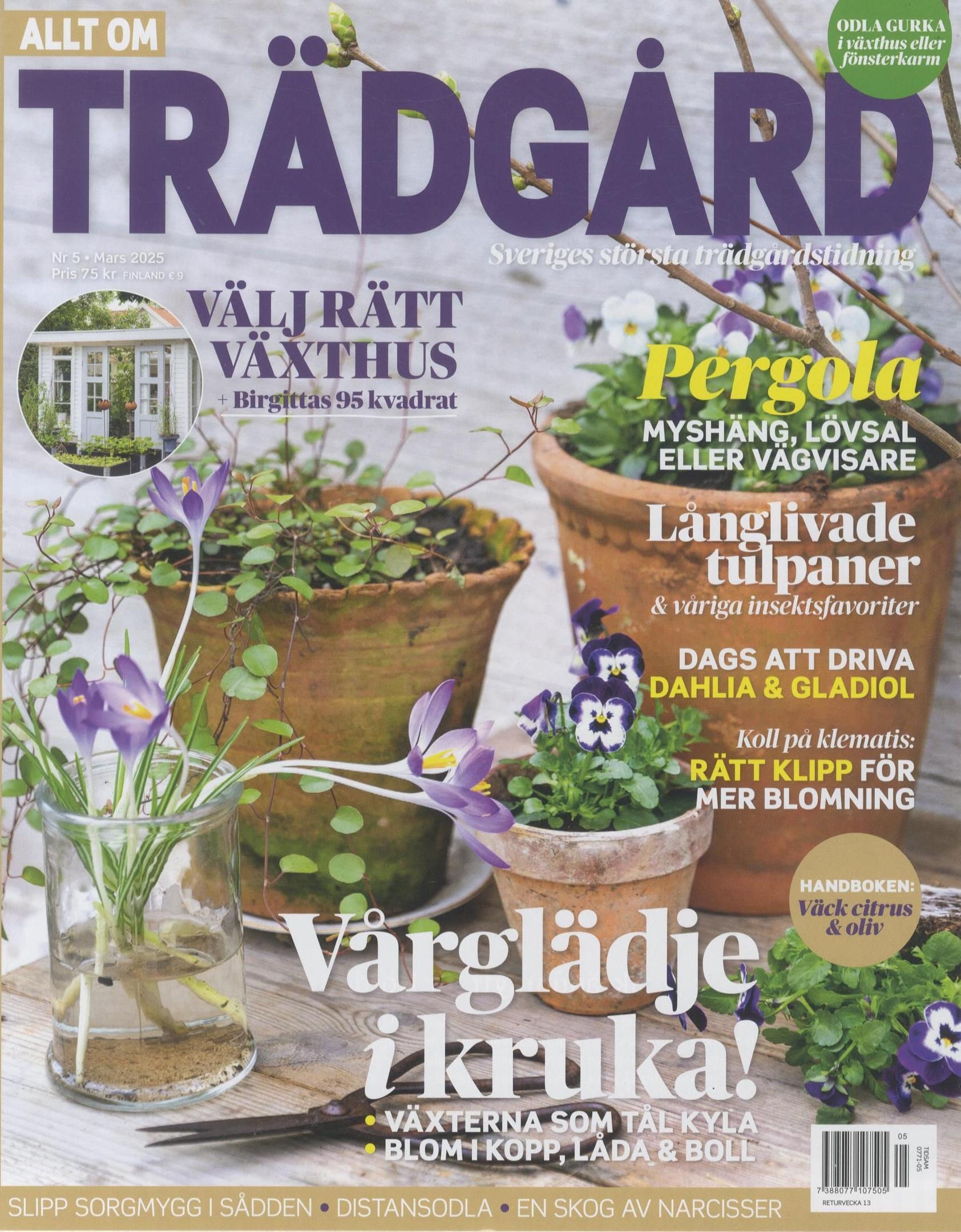 Allt Om Trädgård