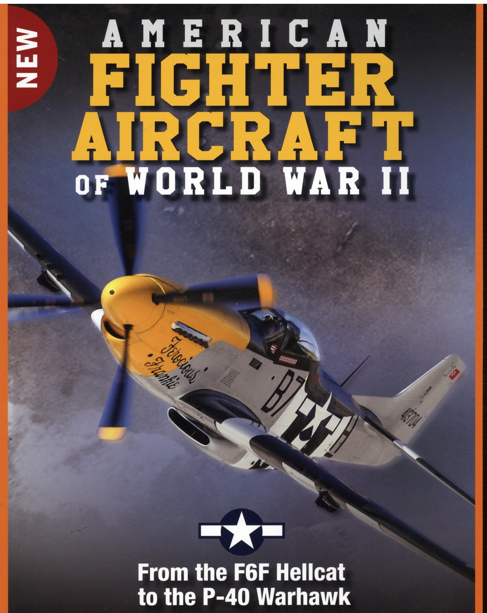 American Fighter Air WWII